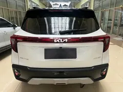 2023 Kia Seltos 1.5L CVT Luxury, белый — фото 5