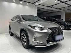 2020 Lexus RX 300 2WD Elite — фото 25