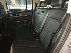 2021 Tank 300 Off-road 2.0T Conqueror — фото 13