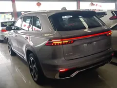 2021 Geely Monjaro 2.0TD High Power AT 4WD Premium — фото 5