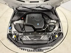 2023 BMW 3 Series 320Li M Sport Package, белый — фото 8