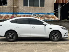 2025 BYD Seal 05 DM-i Smart Driving 120KM Flagship Model, белый — фото 8