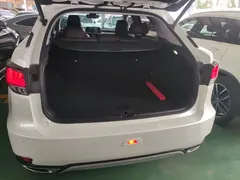 2020 Lexus RX 300 4WD, белый — фото 19