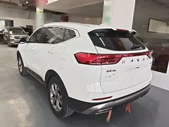 2021 Haval H6 1.5T AT Champion, белый — фото 23
