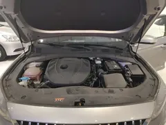 2023 Geely Preface 2.0TD Luxury — фото 20
