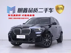 2021 BMW X5 imported xDrive30i M sports package, синий — фото 1