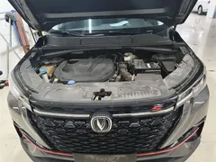 2022 Changan CS55 PLUS Blue Whale 1.5T DCT Luxury — фото 16