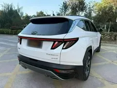 2023 Hyundai Tucson L 1.5T AT 2WD GLX Elite, белый — фото 16