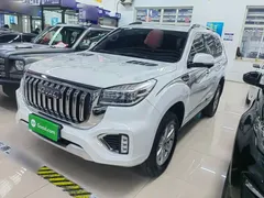 2022 Haval H9 2.0T 4WD 5, белый — фото 1