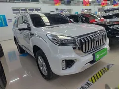 2022 Haval H9 2.0T 4WD 5, белый — фото 22