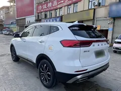 2021 Haval H6 1.5T AT Guochao Urban, белый — фото 10