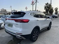 2021 Haval H6 1.5T AT Guochao Urban, белый — фото 12