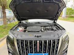 2023 Hongqi HS5 2.0T Pro, чёрный — фото 11