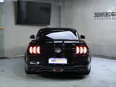 2020 Geely Mustang 2.3L EcoBoost, чёрный — фото 1