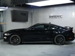 2020 Geely Mustang 2.3L EcoBoost, чёрный — фото 4