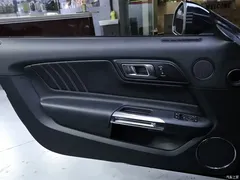2020 Geely Mustang 2.3L EcoBoost, чёрный — фото 9
