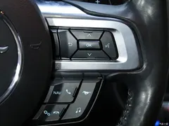 2020 Geely Mustang 2.3L EcoBoost, чёрный — фото 10