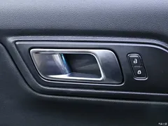 2020 Geely Mustang 2.3L EcoBoost, чёрный — фото 11