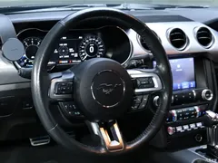 2020 Geely Mustang 2.3L EcoBoost, чёрный — фото 12