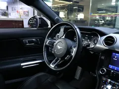 2020 Geely Mustang 2.3L EcoBoost, чёрный — фото 16