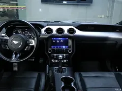 2020 Geely Mustang 2.3L EcoBoost, чёрный — фото 17