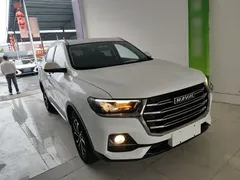 2021 Haval H6 1.5T AT Guochao Urban, белый — фото 22