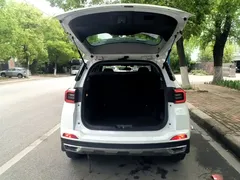 2020 Chery Tiggo 5x 1.5L CVT Fashion, белый — фото 19