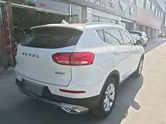 2021 Haval H6 1.5T AT, белый — фото 7