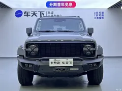 2023 Tank 300 City 2.0T Very Stylish — фото 2