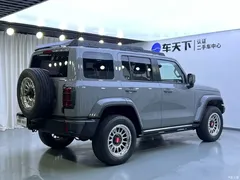 2023 Tank 300 City 2.0T Very Stylish — фото 4