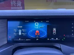 2023 Tank 300 City 2.0T Very Stylish — фото 12