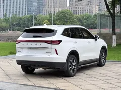 2021 Haval H6 1.5T AT 2WD Max, белый — фото 16