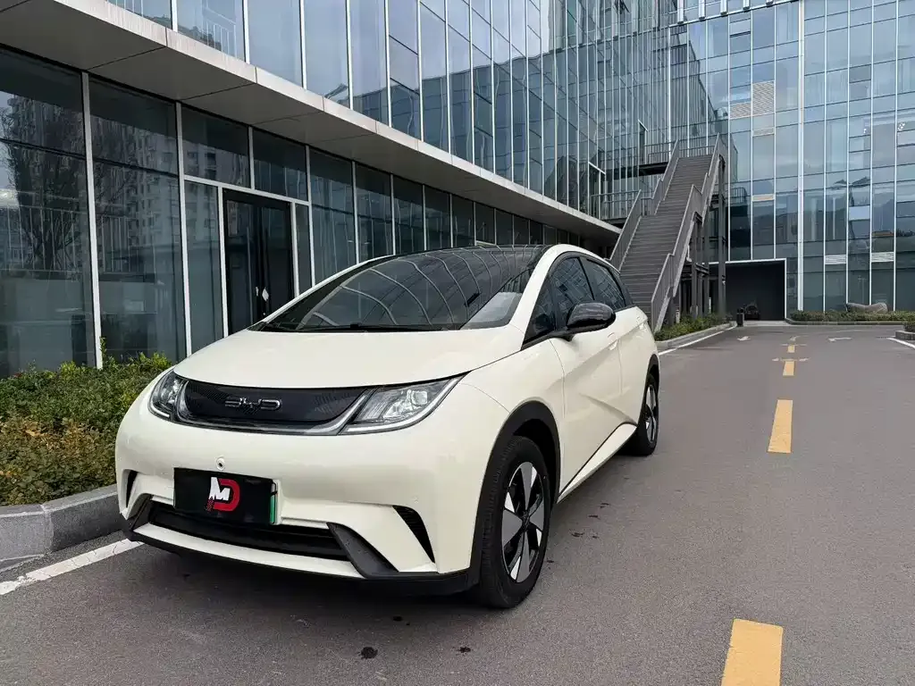 2023 BYD Dolphin 420km Freedom
