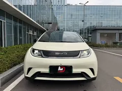 2023 BYD Dolphin 420km Freedom, белый — фото 2