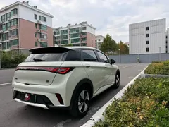 2023 BYD Dolphin 420km Freedom, белый — фото 9