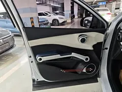 2022 BYD Yuan PLUS 510km Premium — фото 16