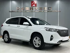 2021 Haval M6 PLUS 1.5T DCT luxury smart connected model, белый — фото 3