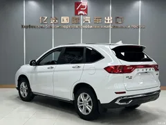 2021 Haval M6 PLUS 1.5T DCT luxury smart connected model, белый — фото 5