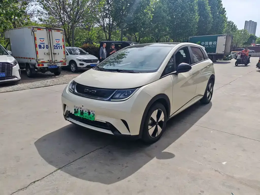 2023 BYD Dolphin 420km Freedom