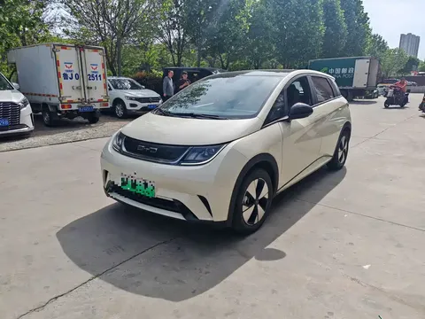 2023 BYD Dolphin 420km Freedom