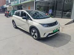 2023 BYD Dolphin 420km Freedom, белый — фото 3