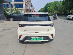 2023 BYD Dolphin 420km Freedom, белый — фото 8