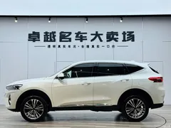 2021 Haval F7 2.0T 2WD iFan, белый — фото 4