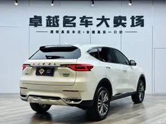 2021 Haval F7 2.0T 2WD iFan, белый — фото 7
