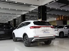 2023 Haval H6 1.5T AT Guochao Urban, белый — фото 13