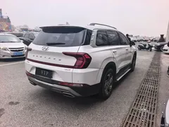 2020 Hyundai Santa Fe 380 TGDi AT 2WD GL Elite, белый — фото 4