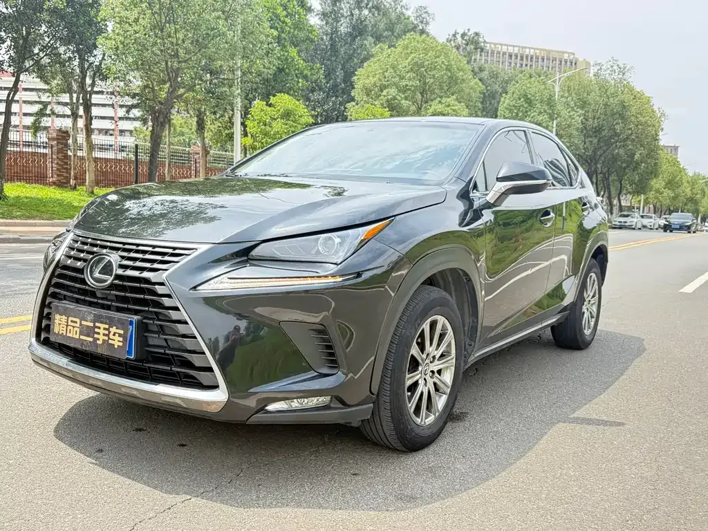 2020 Lexus NX 200 VI