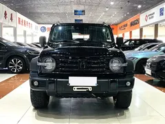 2021 Tank 300 Off-Road 2.0T Conqueror, чёрный — фото 2