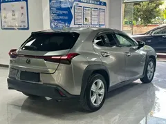 2020 Lexus UX 260h Tan·Cool — фото 9