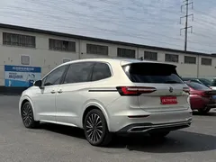 2022 Volkswagen Viloran 380TSI Premium — фото 21